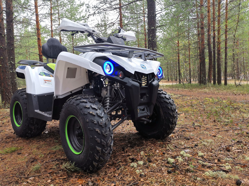 Квадроцикл PROMAX RENEGADE 280 (2025) в Екатеринбурге