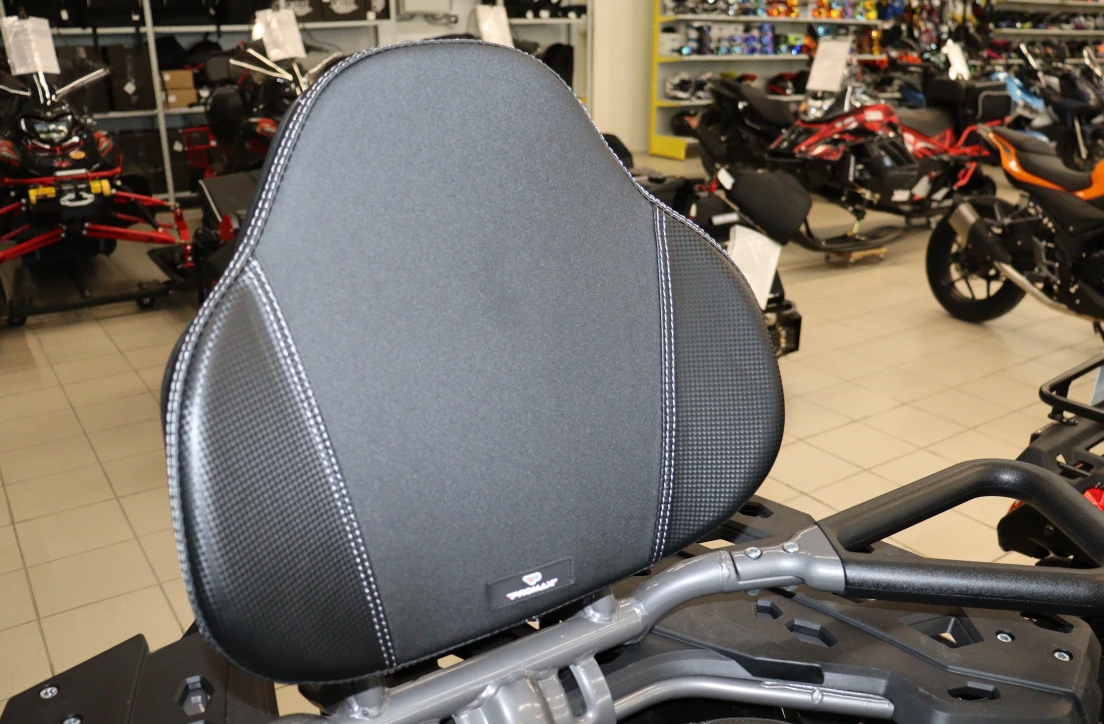 Квадроцикл PROMAX RENEGADE 300 LONG WINCH PRO (2025) в Екатеринбурге