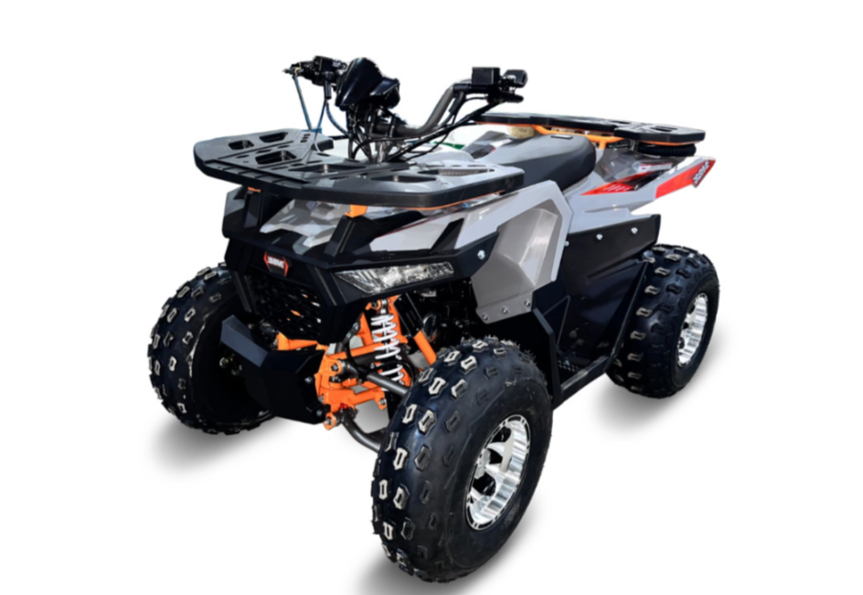 Квадроцикл GBM DAXTER 220 NEW PREMIUM в Екатеринбурге