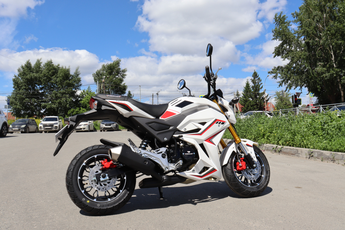 Мотоцикл PROMAX STRYKER 200(49) 2.0 в Екатеринбурге