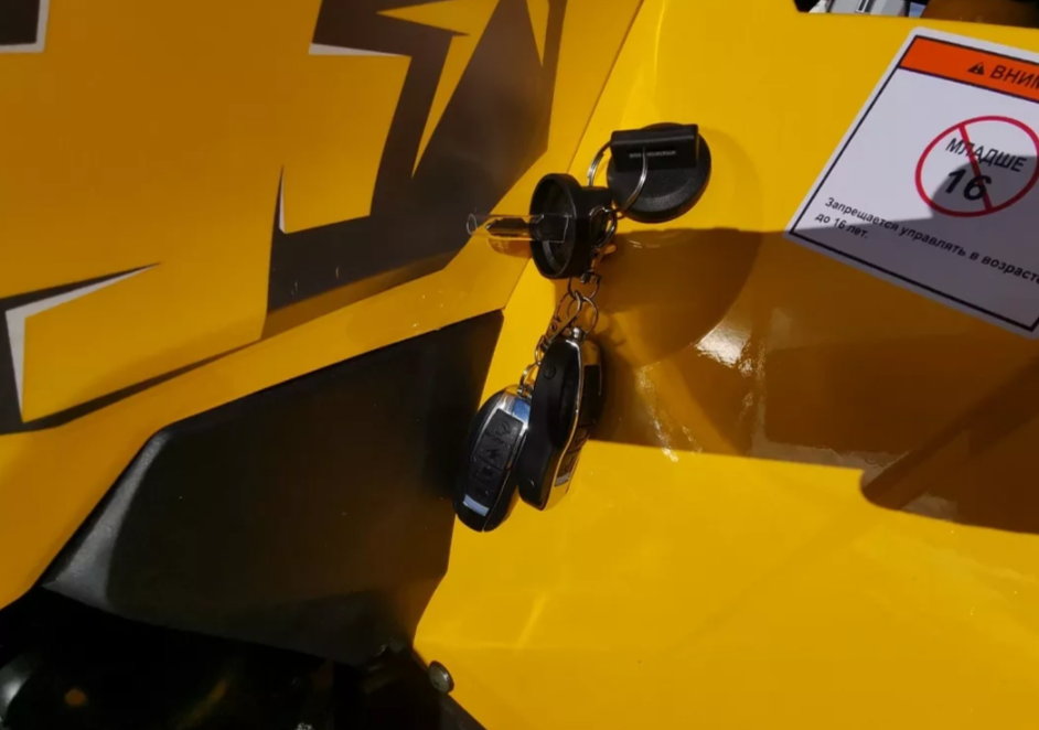 Квадроцикл MOTOLAND (МОТОЛЕНД) VOX200 WILD TRACK X PRO (баланс. вал) в Екатеринбурге