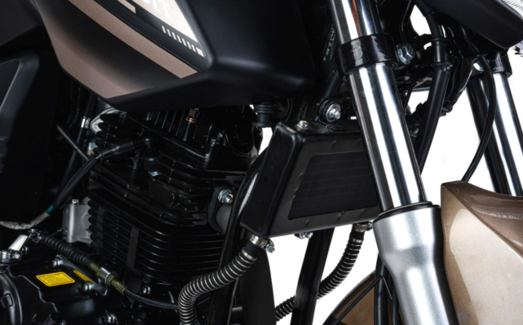 Мотоцикл MOTOLAND (МОТОЛЕНД) 300 BANDIT в Екатеринбурге