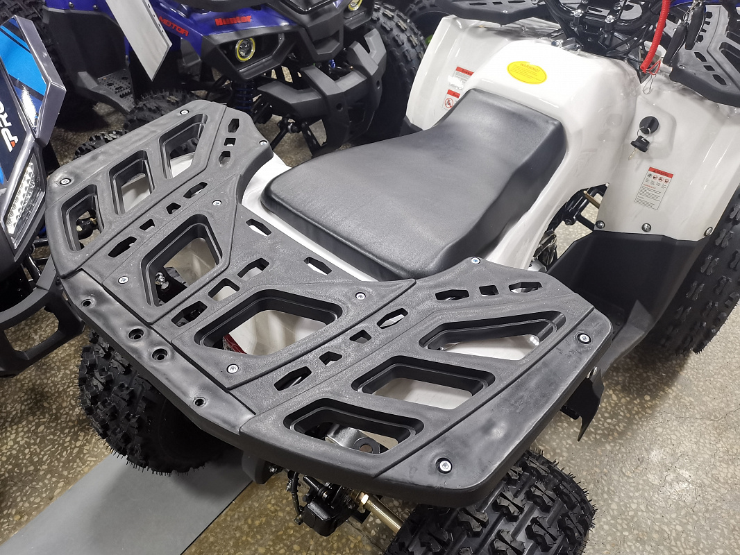 Квадроцикл PROMAX WILD 175 LUX в Екатеринбурге