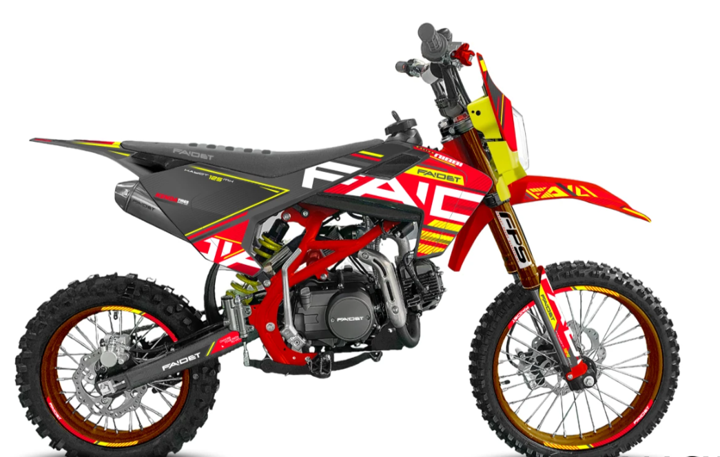 Питбайк FAIDET KAYOT 150E-PRO 17/14 в Екатеринбурге
