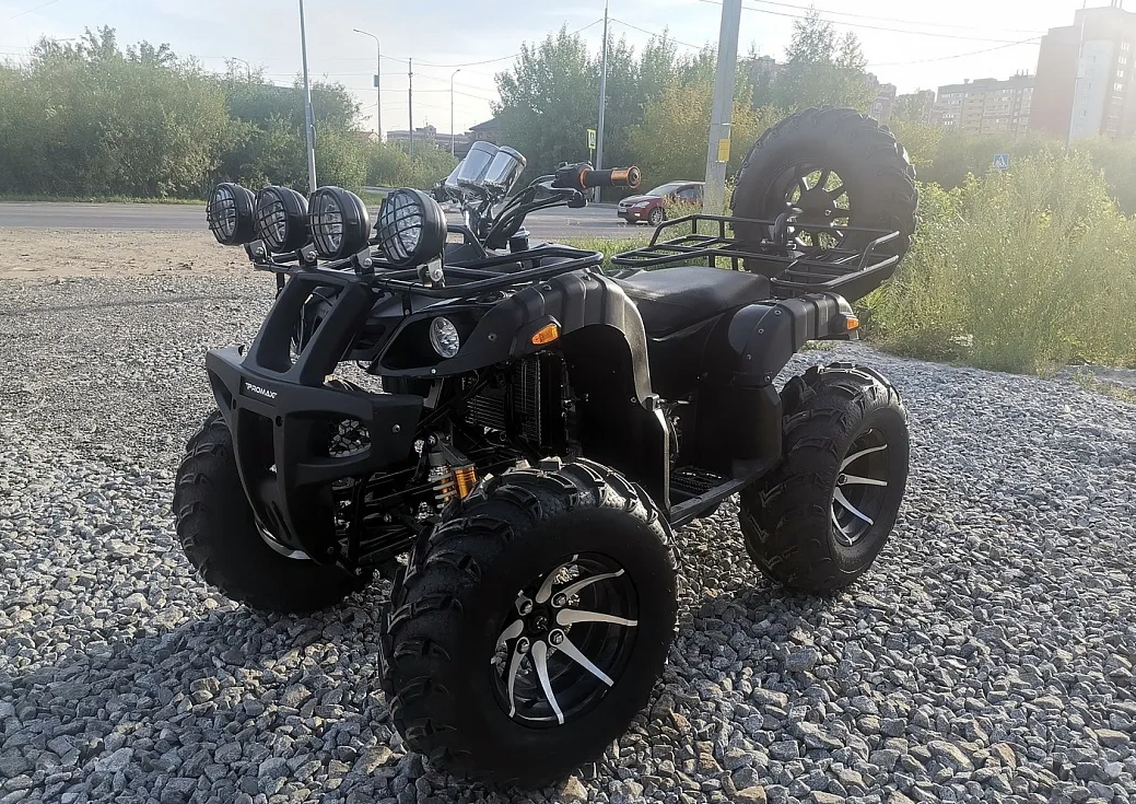 Квадроцикл PROMAX LEO 300 Max (кардан) в Екатеринбурге