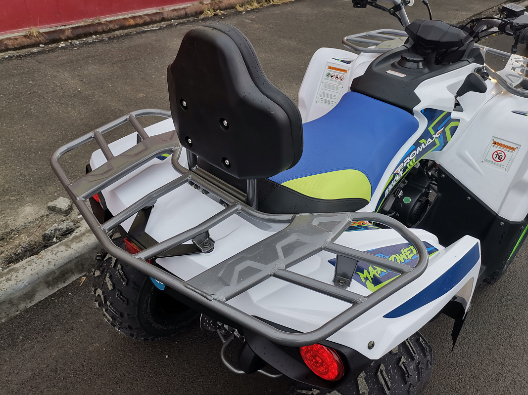 Квадроцикл PROMAX RENEGADE 280 LUX (2025) в Екатеринбурге