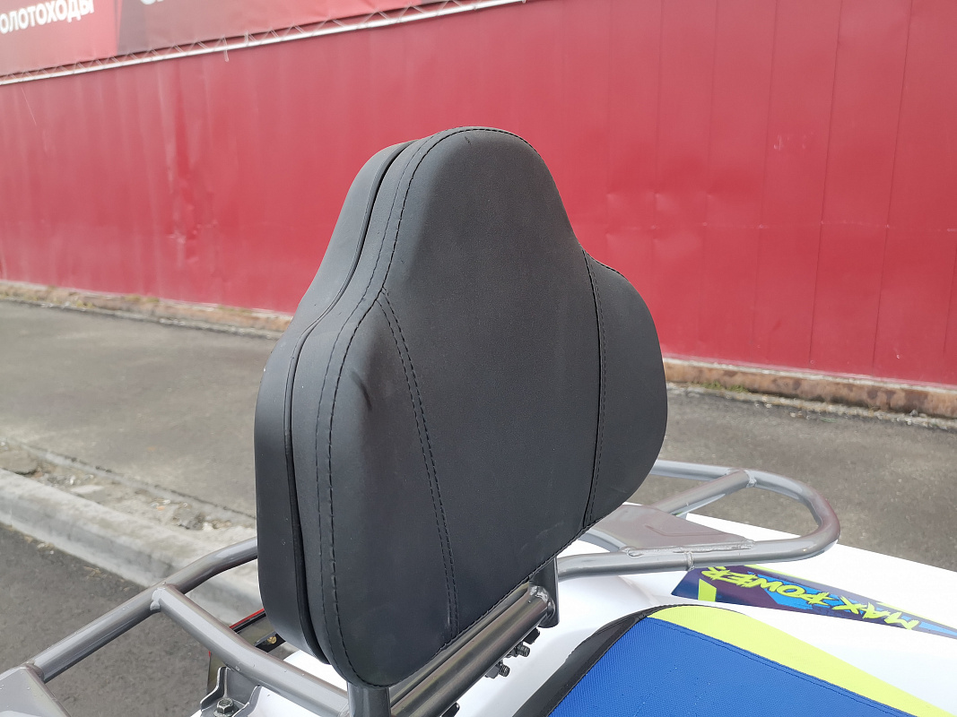 Квадроцикл PROMAX RENEGADE 280 LUX (2025) в Екатеринбурге