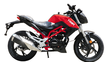 Мотоцикл TMBK Dukes 200cc в Екатеринбурге