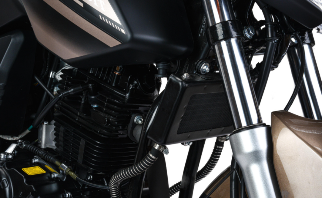 Мотоцикл MOTOLAND (МОТОЛЕНД) 300 BANDIT в Екатеринбурге