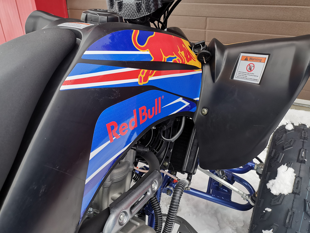 Квадроцикл PROMAX RAPTOR 300 NEW RedBull в Екатеринбурге