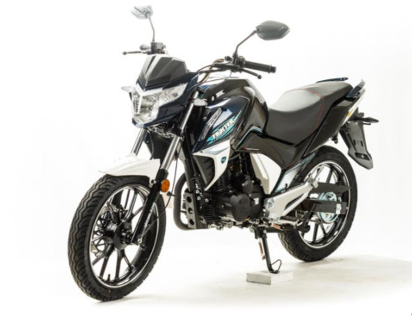 Мотоцикл MOTOLAND (МОТОЛЕНД) FIGHTER 250 в Екатеринбурге