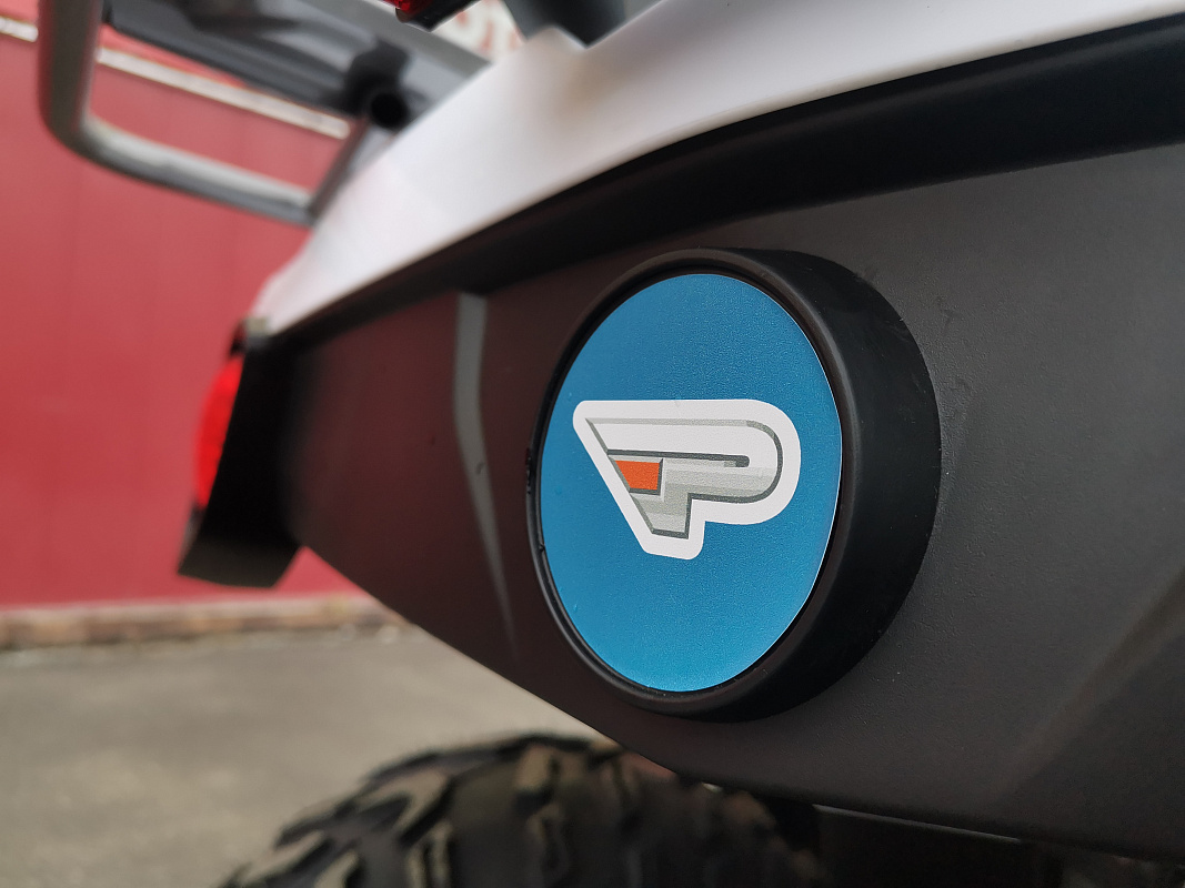 Квадроцикл PROMAX RENEGADE 280 LUX (2025) в Екатеринбурге