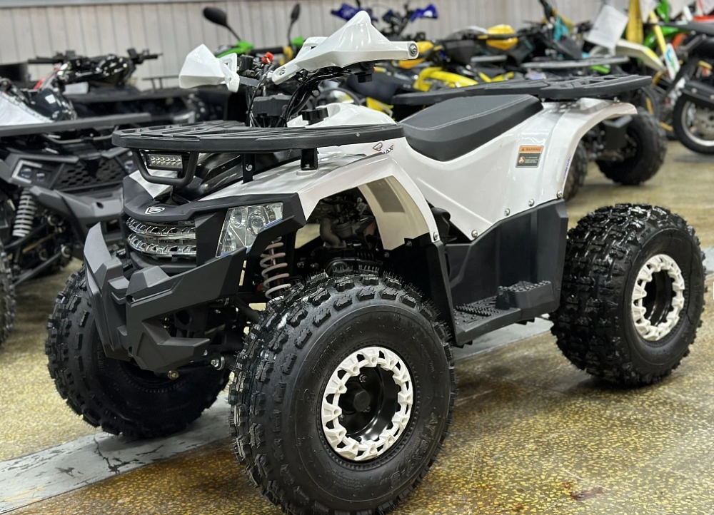 Квадроцикл PROMAX WILD 2.0 190 в Екатеринбурге