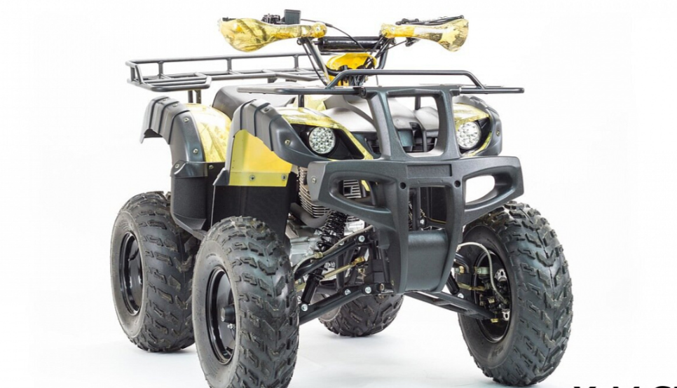 Квадроцикл MOTOLAND (МОТОЛЕНД) 250 ADVENTURE в Екатеринбурге