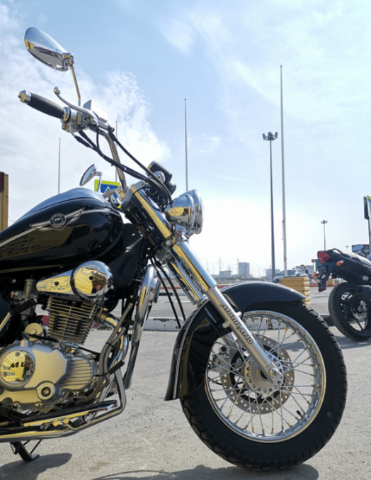 Мотоцикл MOTOLAND (МОТОЛЕНД) WOLF 250 в Екатеринбурге