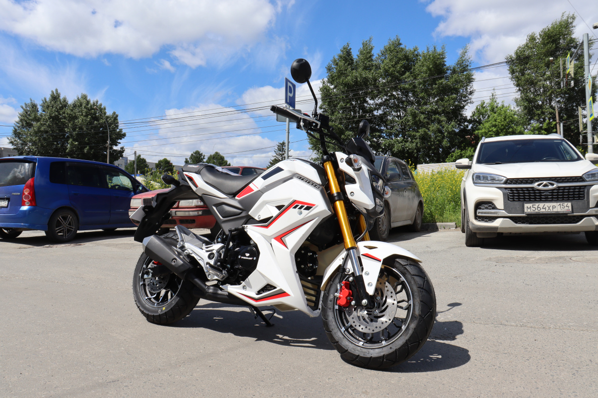Мотоцикл PROMAX STRYKER 200(49) 2.0 в Екатеринбурге