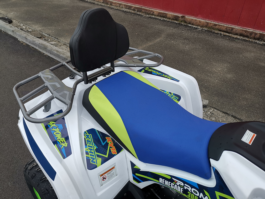 Квадроцикл PROMAX RENEGADE 280 LUX (2025) в Екатеринбурге