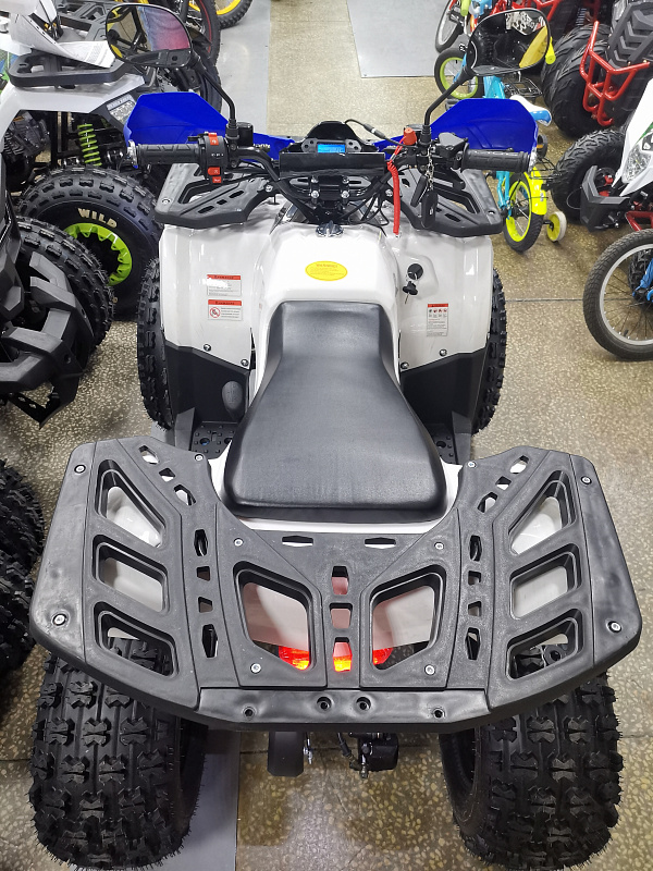 Квадроцикл PROMAX WILD 175 LUX в Екатеринбурге