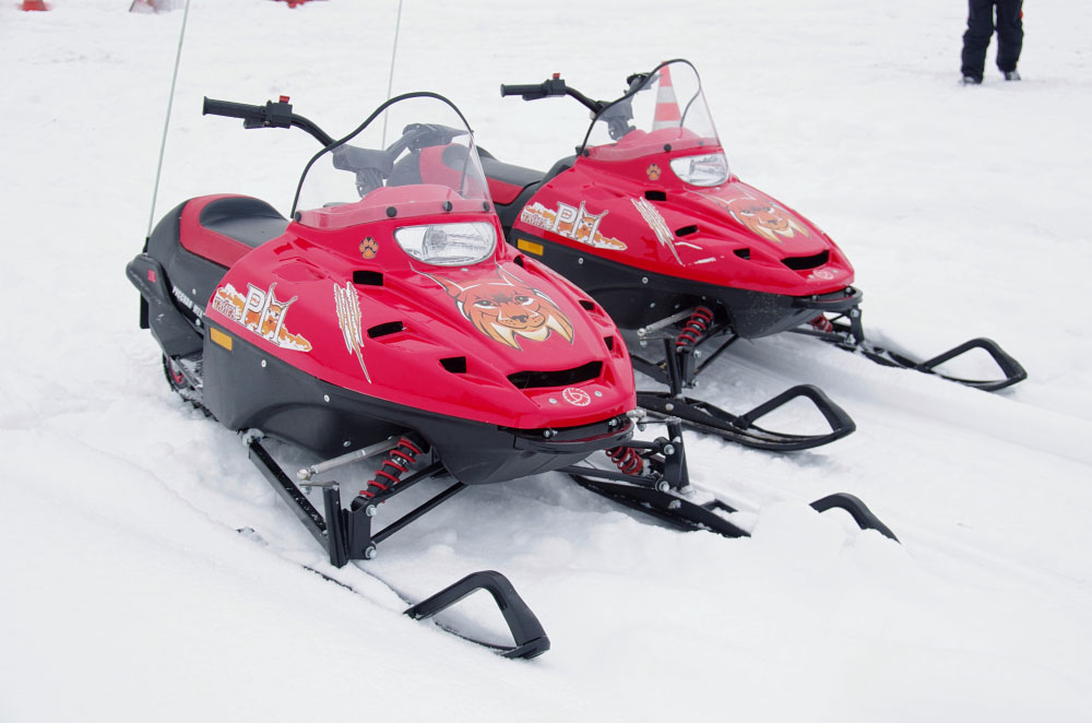 Снегоход РМ ТАЙГА РЫСЬ в Екатеринбурге