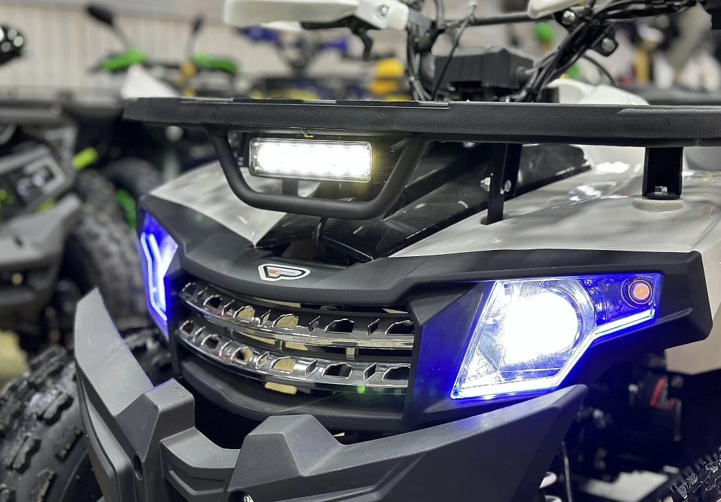 Квадроцикл PROMAX WILD 2.0 190 в Екатеринбурге