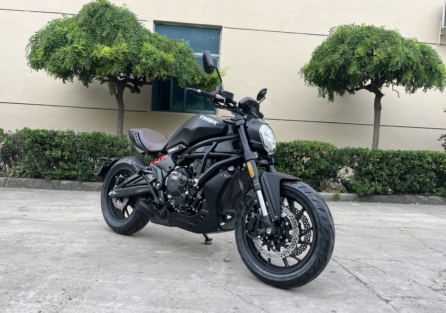 Мотоцикл TMBK Diablo 650cc EFI, ABS в Екатеринбурге