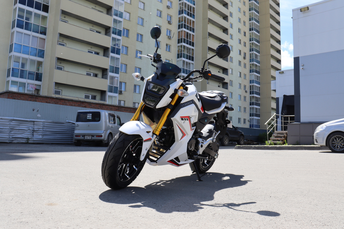Мотоцикл PROMAX STRYKER 200(49) 2.0 в Екатеринбурге