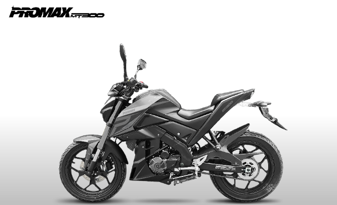 Мотоцикл PROMAX MT300 в Екатеринбурге