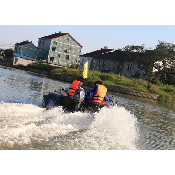 ЛОДОЧНЫЙ МОТОР ALLFA CG Т20 в Екатеринбурге