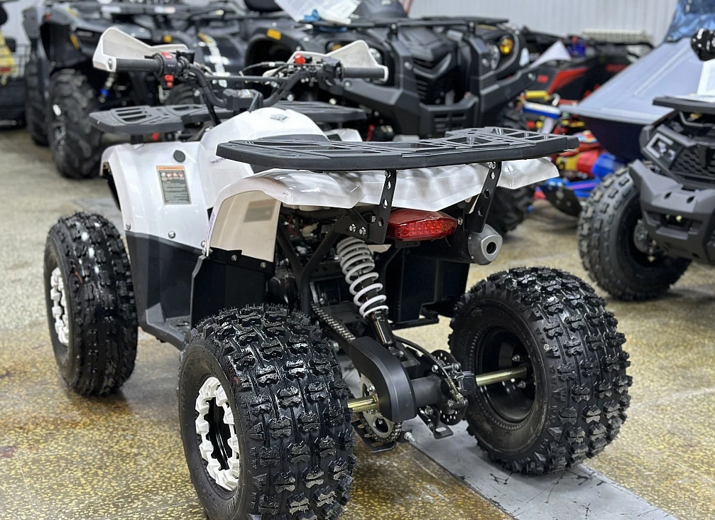 Квадроцикл PROMAX WILD 2.0 190 в Екатеринбурге