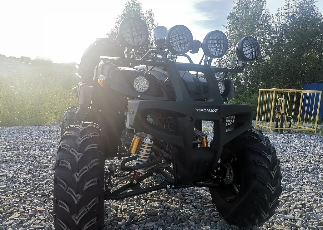 Квадроцикл PROMAX LEO 300 Max (кардан) в Екатеринбурге