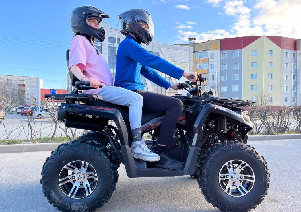 Квадроцикл PROMAX RENEGADE 300 LONG WINCH PRO (2025) в Екатеринбурге