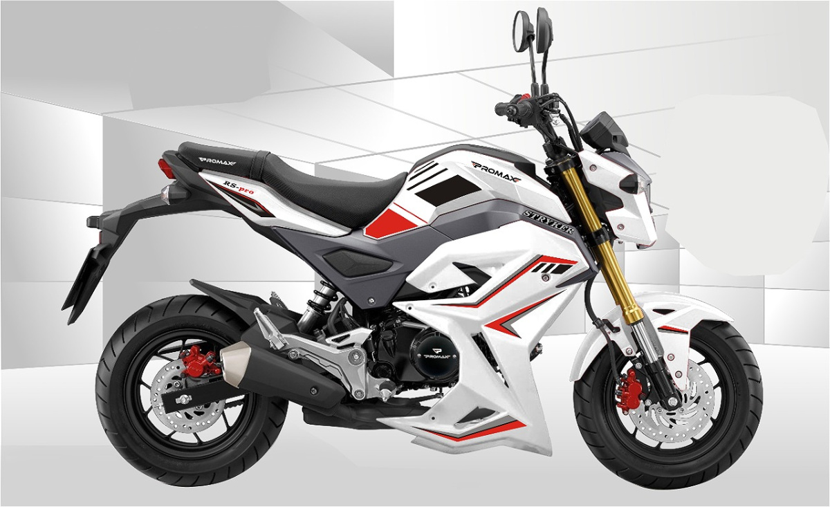 Мотоцикл PROMAX STRYKER 200(49) 2.0 в Екатеринбурге