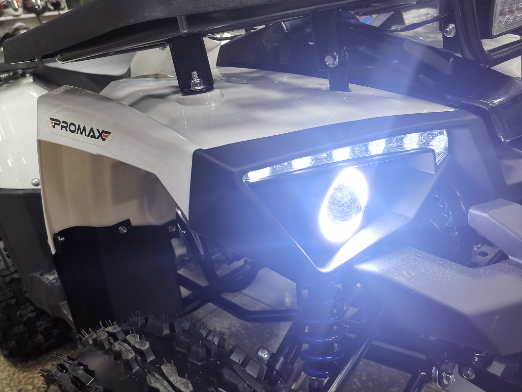 Квадроцикл PROMAX WILD 175 LUX в Екатеринбурге