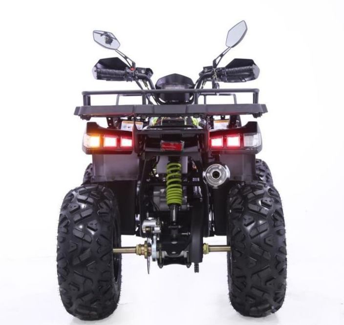 Квадроцикл YACOTA WARRIOR 200 PRO в Екатеринбурге