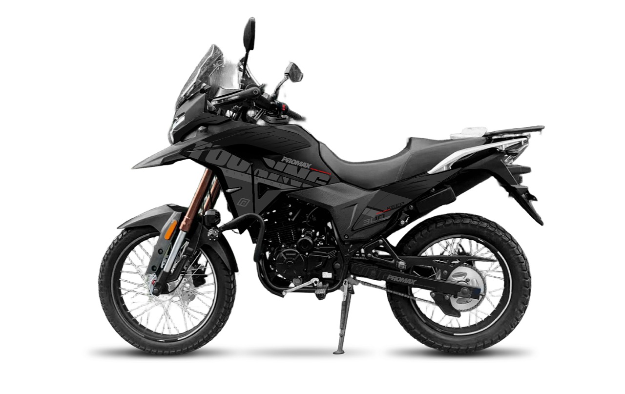 Мотоцикл PROMAX TOURING PR300 PRO 6 GEAR в Екатеринбурге