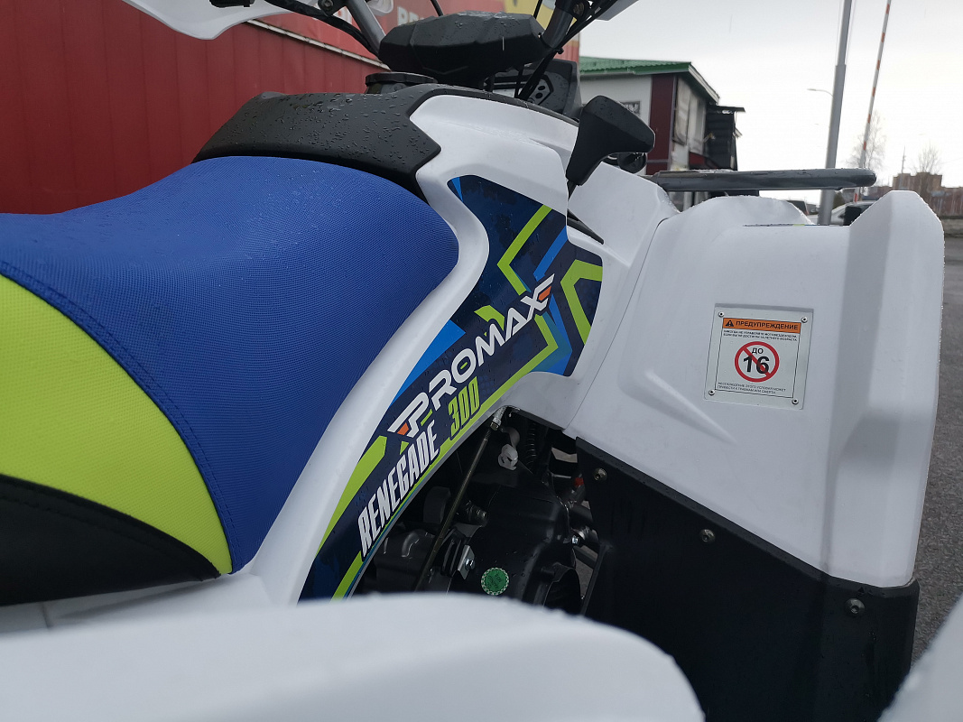 Квадроцикл PROMAX RENEGADE 280 LUX (2025) в Екатеринбурге