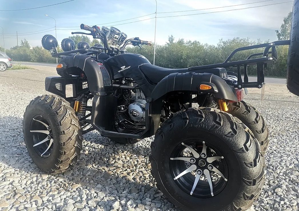 Квадроцикл PROMAX LEO 300 Max (кардан) в Екатеринбурге