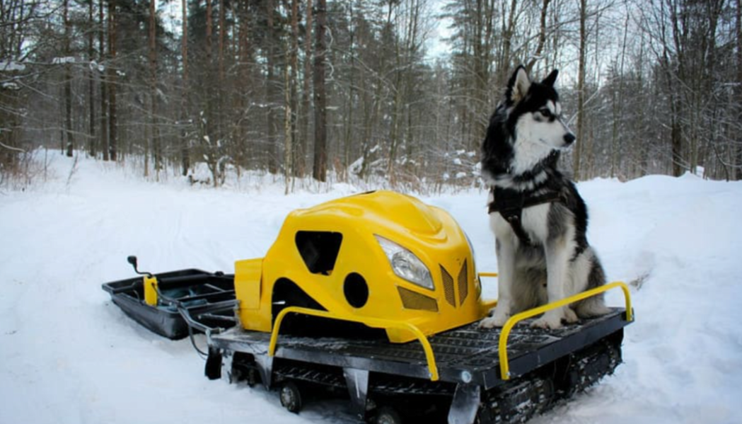 Мотобуксировщик LEBEDEV MOTORS ВОЛКОДАВ POWER V13 в Екатеринбурге