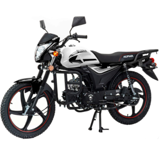 Мопед MOTOLAND (МОТОЛЕНД) Альфа RS 11 (LM48-B) в Екатеринбурге