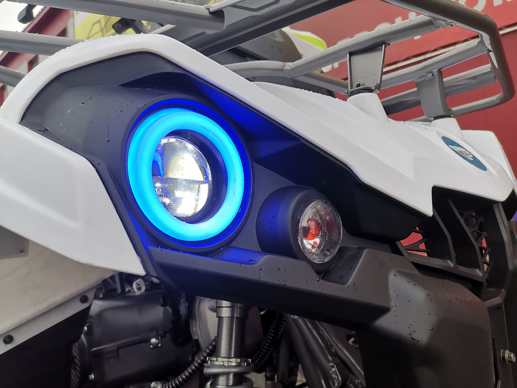 Квадроцикл PROMAX RENEGADE 280 LUX (2025) в Екатеринбурге