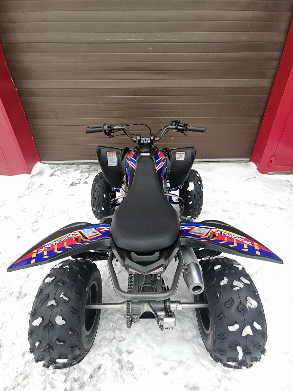 Квадроцикл PROMAX RAPTOR 300 NEW RedBull в Екатеринбурге