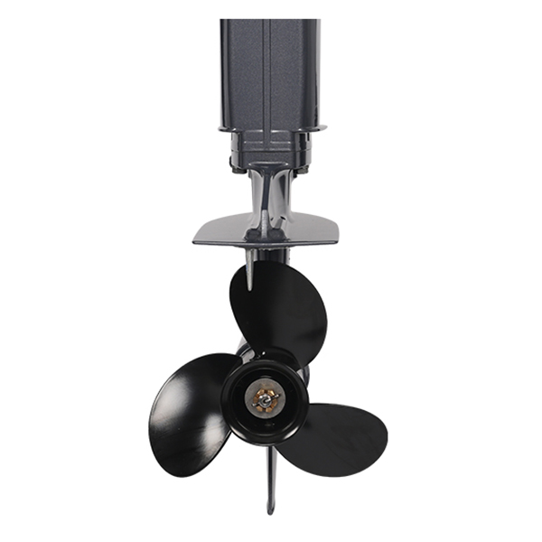 ЛОДОЧНЫЙ МОТОР ALLFA CG T30 FW S в Екатеринбурге