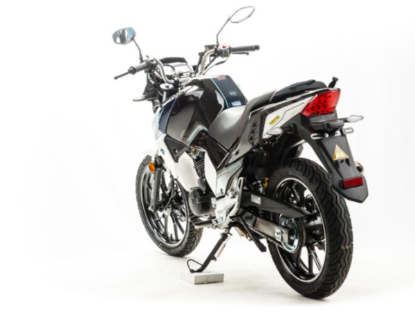 Мотоцикл MOTOLAND (МОТОЛЕНД) FIGHTER 250 в Екатеринбурге