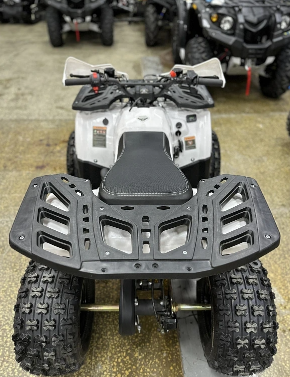 Квадроцикл PROMAX WILD 2.0 190 в Екатеринбурге