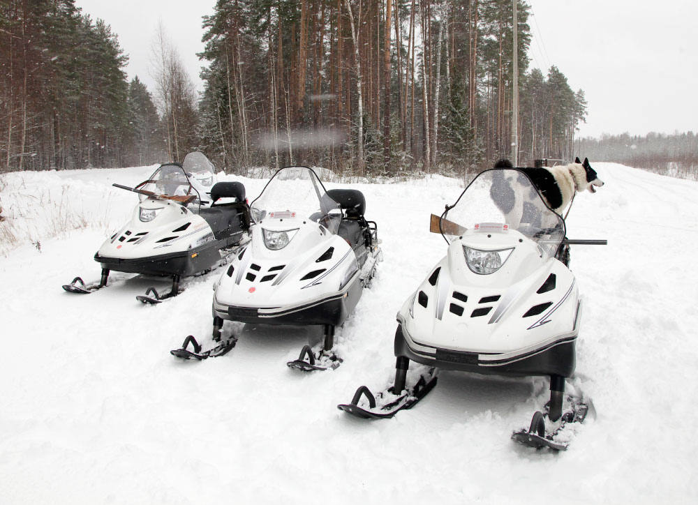 СНЕГОХОД РМ ТАЙГА ВАРЯГ 550 V в Екатеринбурге