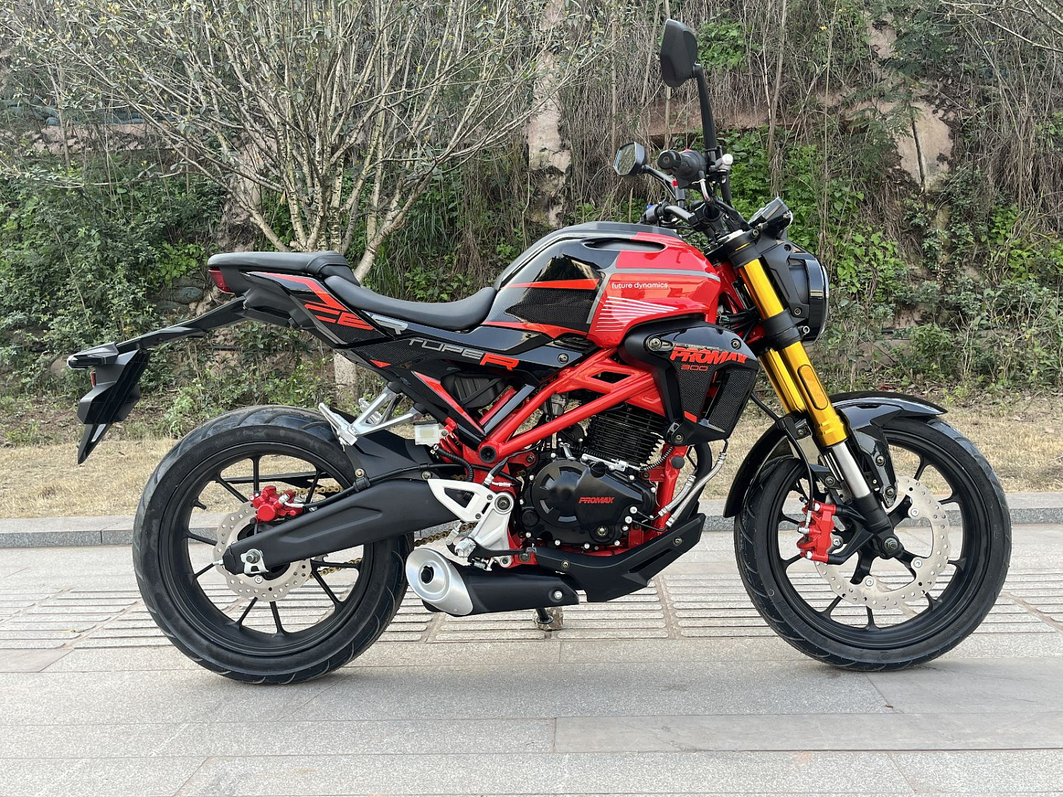 Мотоцикл PROMAX CB300 в Екатеринбурге