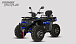 Квадроцикл PROMAX TAURUS 300 MAX-PRO LONG в Екатеринбурге