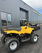 КВАДРОЦИКЛ IRBIS ATV 250  в Екатеринбурге