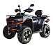 Квадроцикл MOTOLAND (МОТОЛЕНД) 300 MAX X в Екатеринбурге