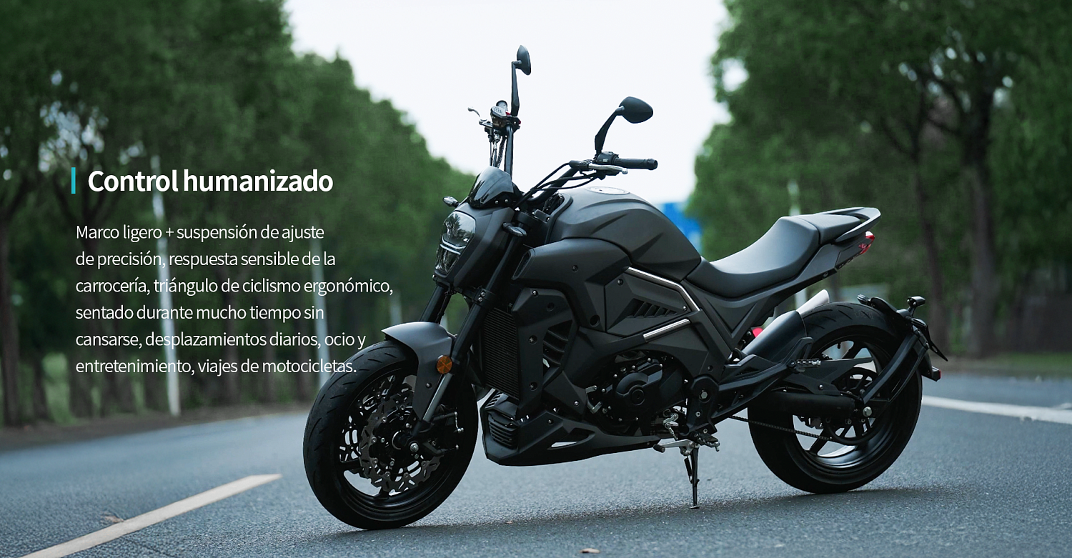 Мотоцикл FAIDET Z450 NAVIGATOR в Екатеринбурге